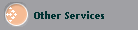 Other Services