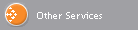Other Services